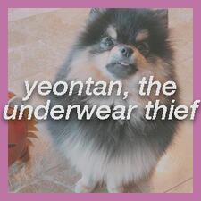 yeontan steals myg&#39;s clothes, chaos ensues